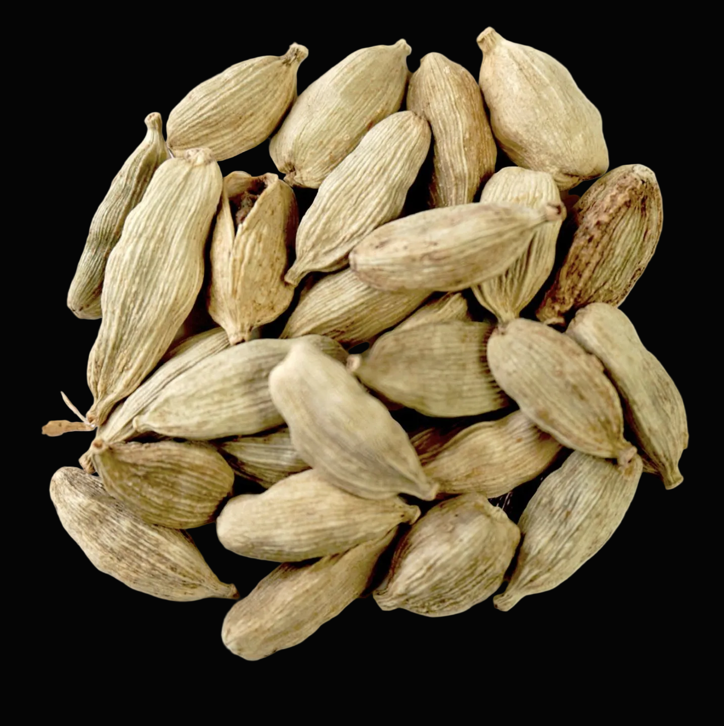Epices Pour Thé / La Reine Cardamone / Cardamone Bio