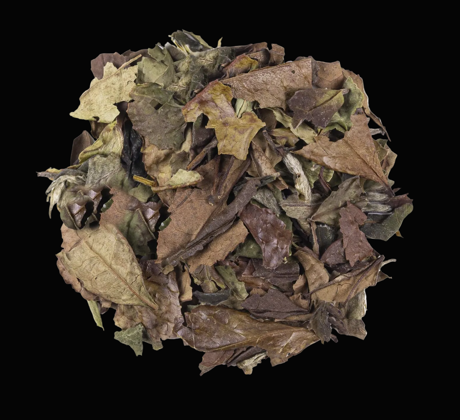 Wavontea