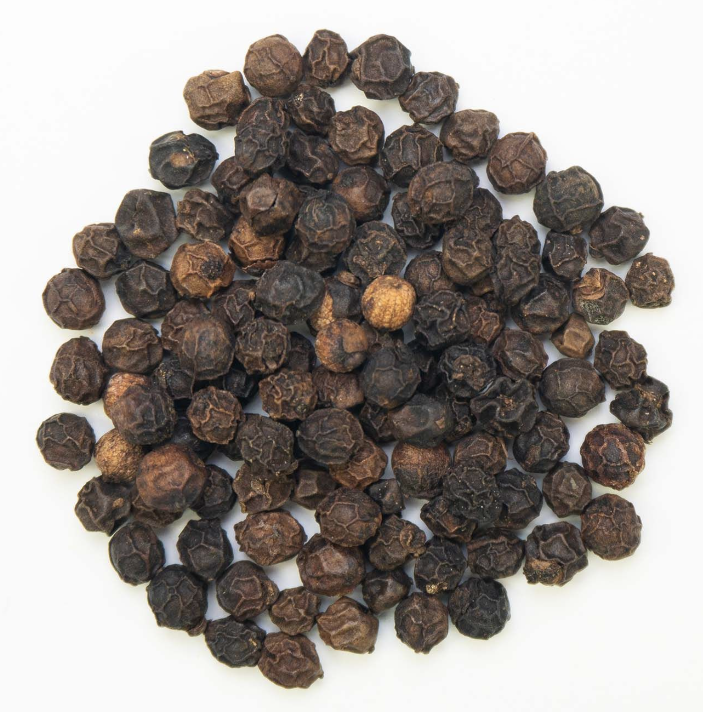Epices Pour Thé / Le Roi de Malabar / Poivre Noir Bio